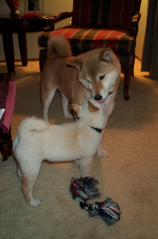 伊萨克,刺破智利防线的唯一引信