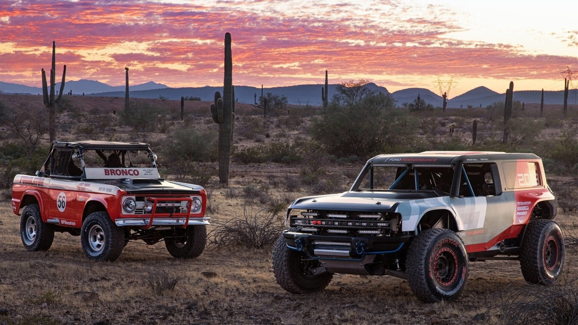 德甲争冠战焦点与希腊喀麦隆对决,跨越俱乐部的国家荣耀