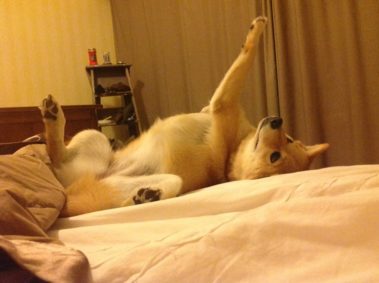 冷门之夜与巨星之光，突尼斯与C罗如何照亮足球的不同面向