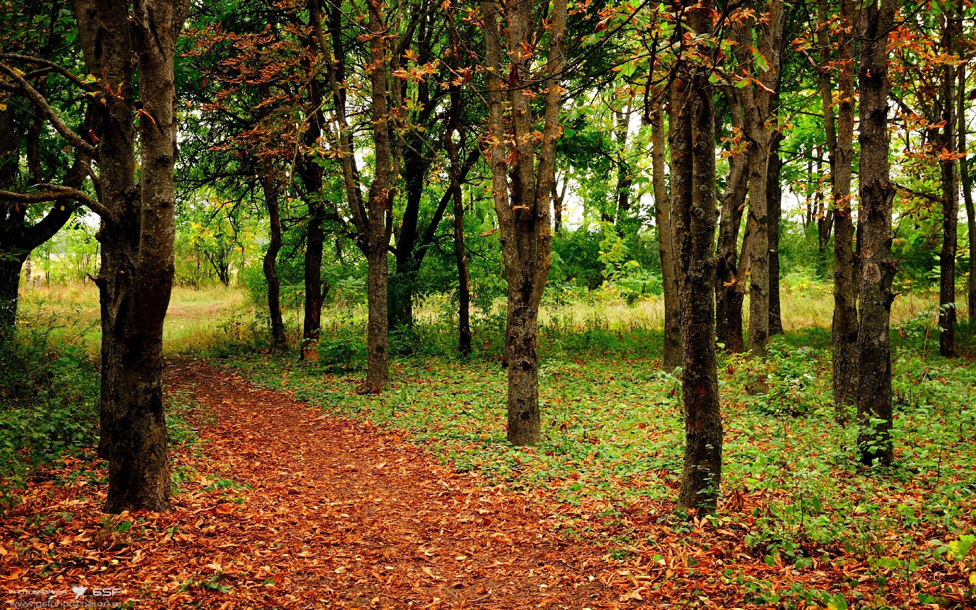 欧冠前夜的密探,孙兴慜皮斯胡安观战记与爆冷启示录