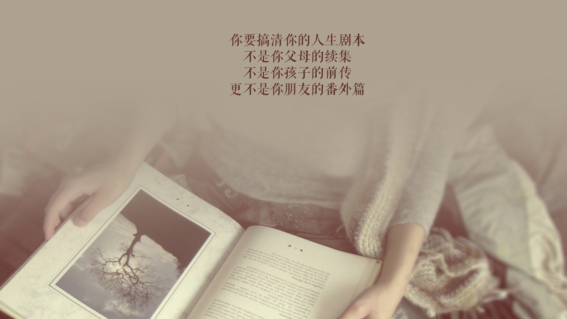 开云体育在线-多瑙河畔的铁幕，2026世界杯C组，罗马尼亚以凯恩之魂碾碎奥地利，书写唯一不可复制的红色狂想曲