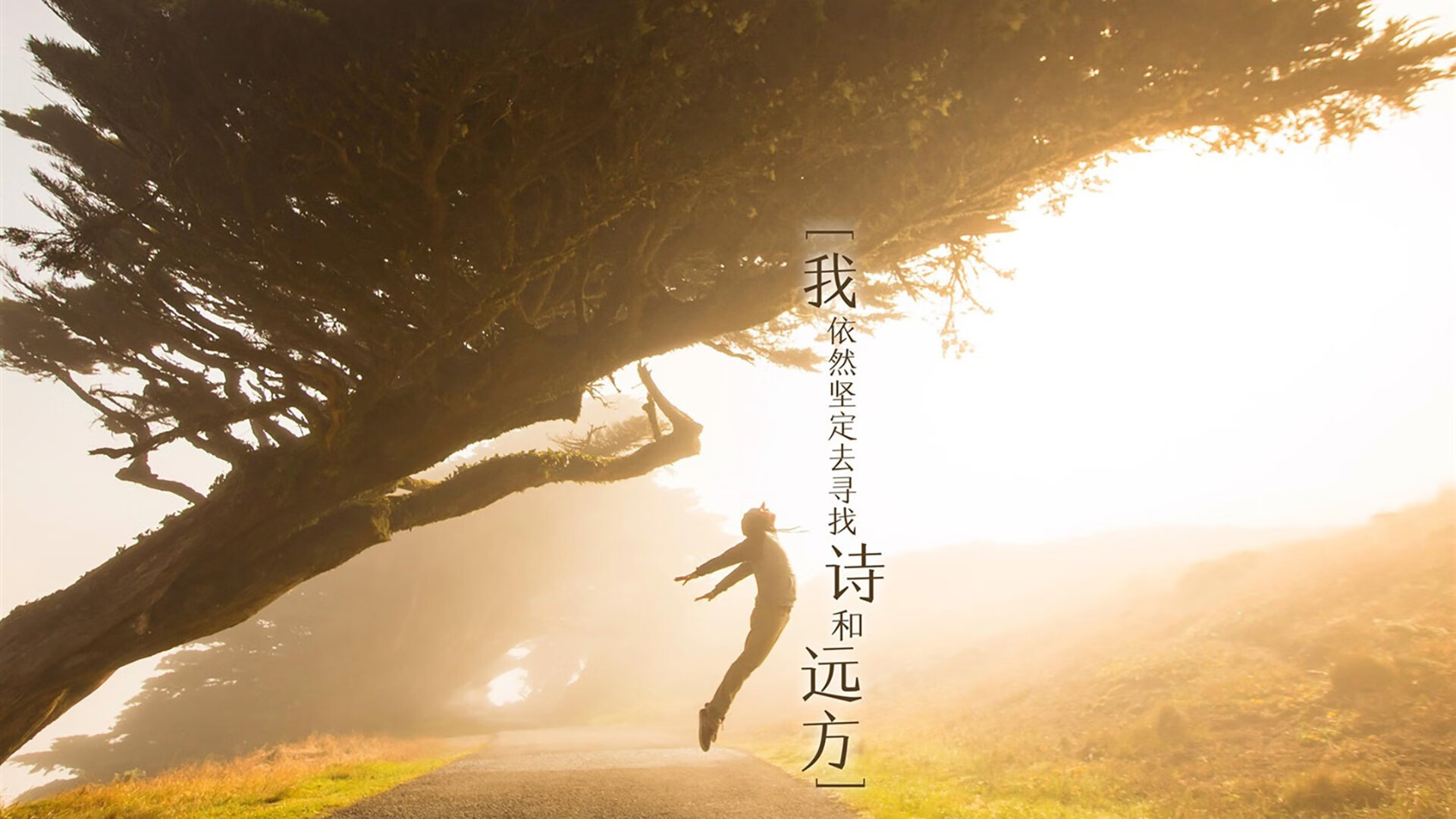 开云-宿命翻转，当努涅斯的致命一击撕碎巴西的桑巴幻想—2026世界杯B组丹麦如何以钢铁防线压制五星巴西，在进攻端完成历史性爆发