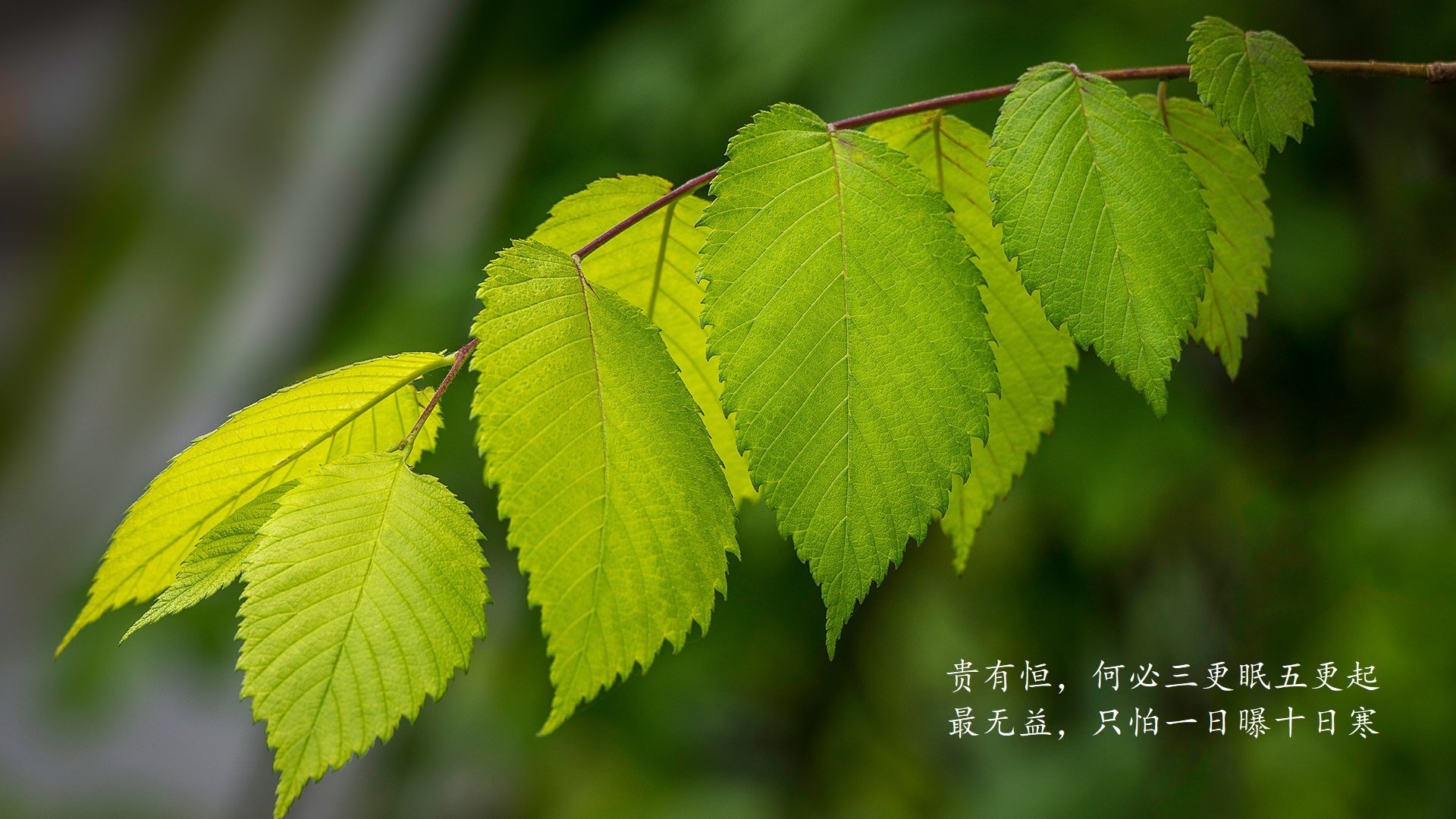 2026世界杯G组冷门之夜,芬兰完胜日本,托纳利化身北欧冰刃刺穿东瀛防线